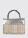 woman's mini bag