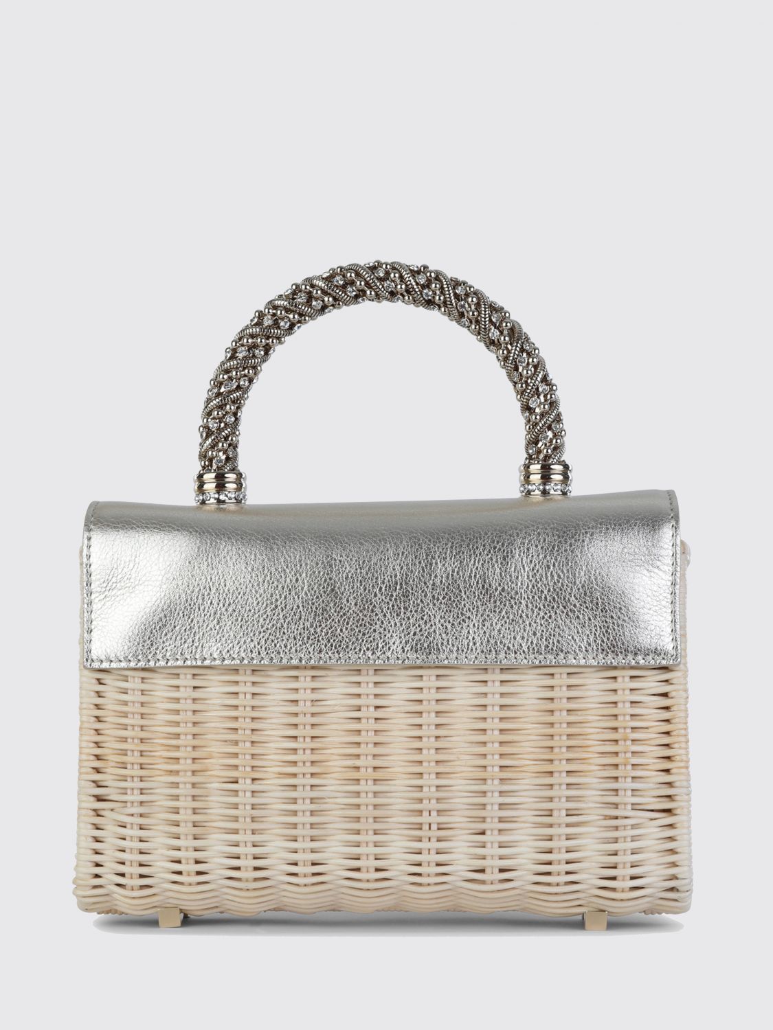 woman's mini bag