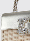 woman's mini bag