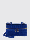 woman's mini bag