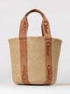 woman's tote bag chloé