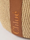 woman's tote bag chloé