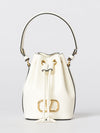 woman's mini bag