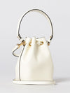 woman's mini bag