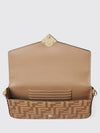woman's crossbody bag