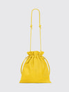 woman's crossbody bag