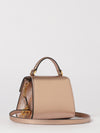 woman's mini bag