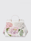 woman's mini bag