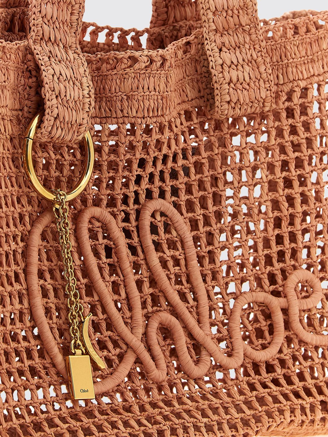woman's shoulder bag chloé