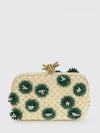 woman's mini bag