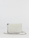 woman's mini bag