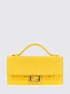 woman's mini bag