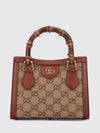 woman's crossbody bag
