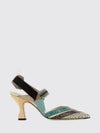 woman's pump