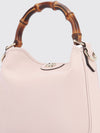 woman's handbag