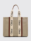 woman's handbag chloé
