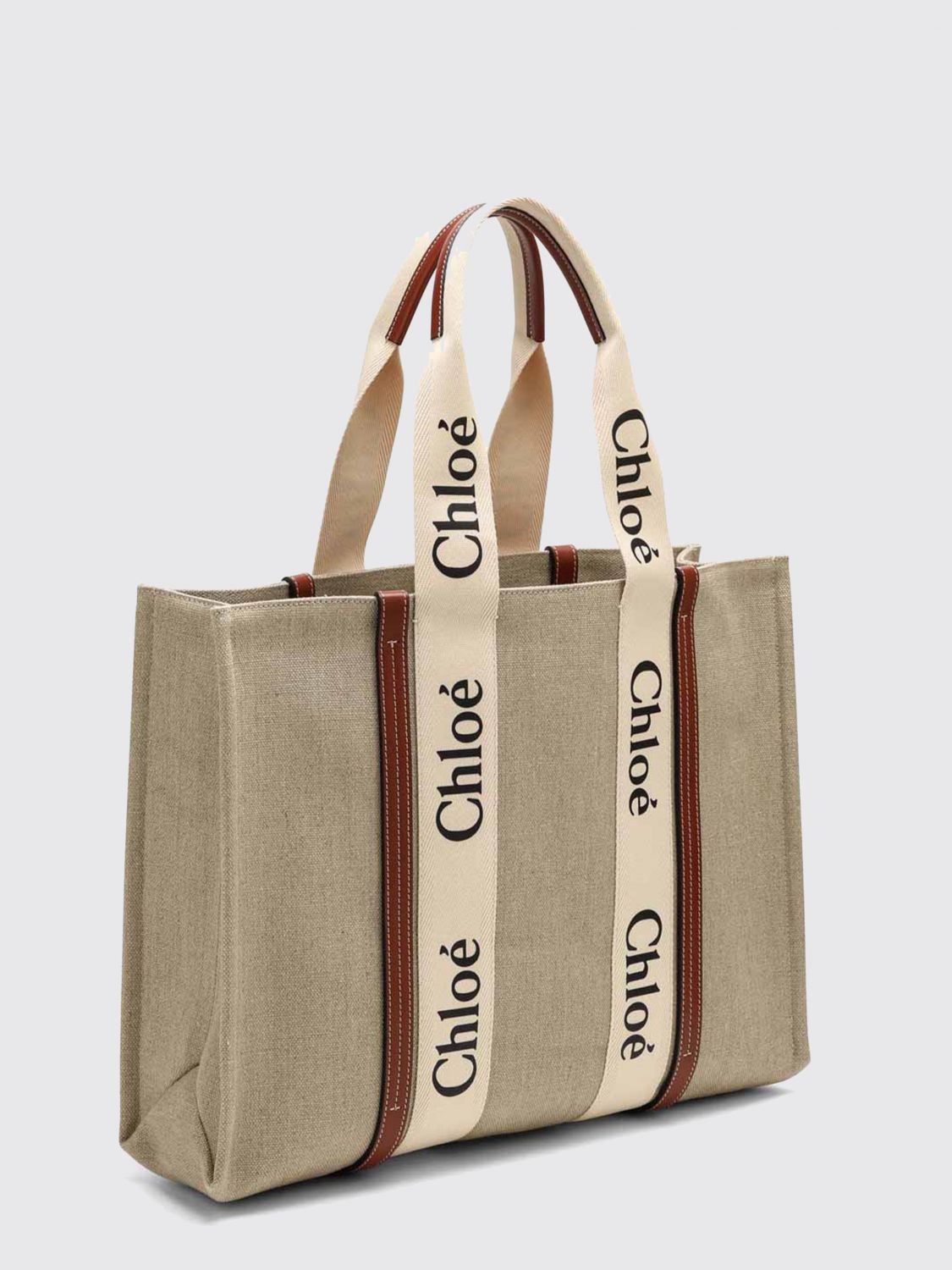 woman's handbag chloé