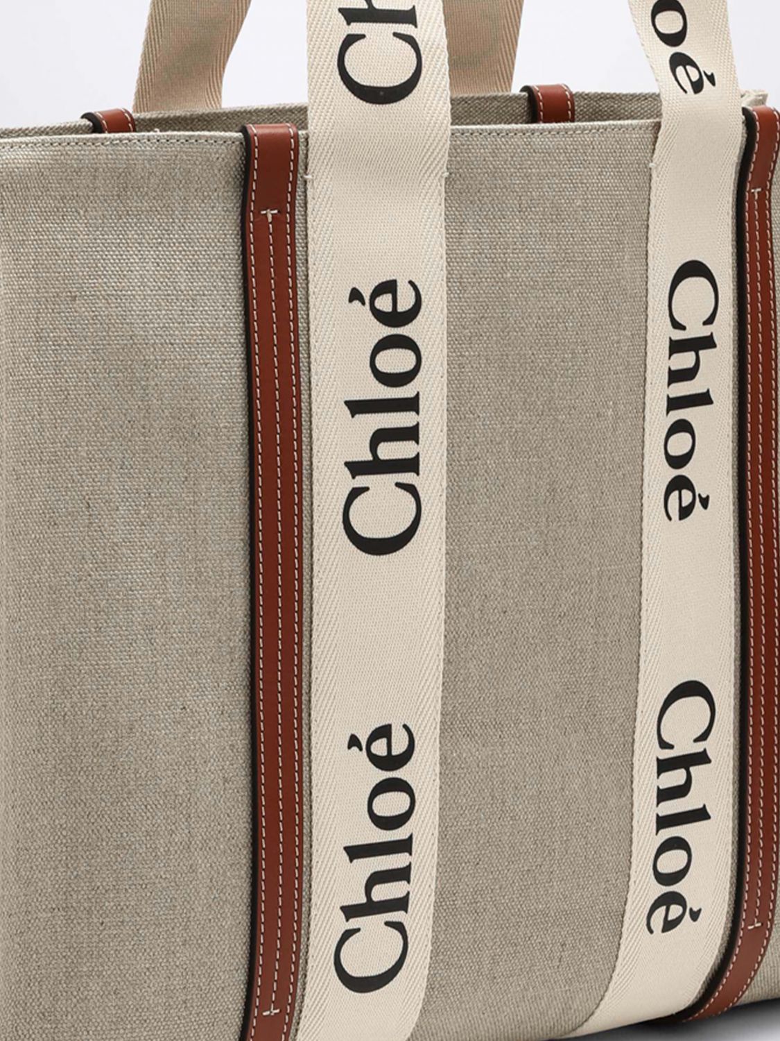woman's handbag chloé