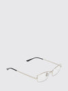 metal optical glasses