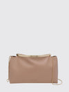 woman's handbag