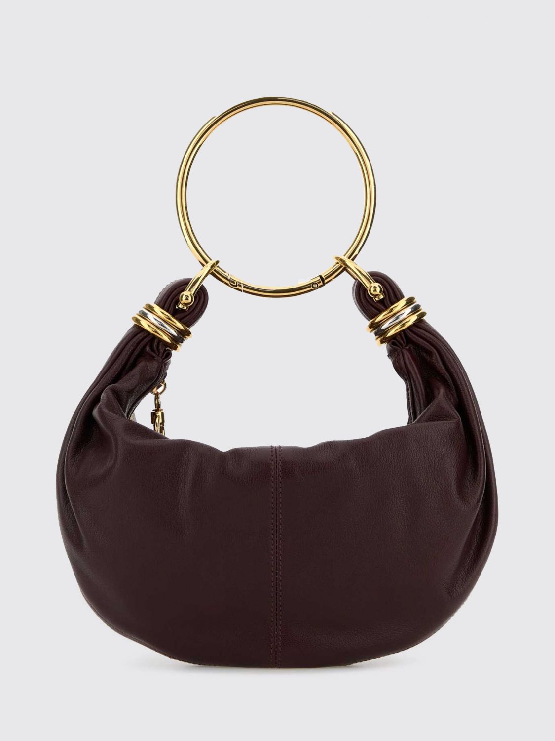 woman's handbag chloé
