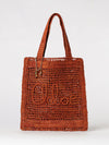 woman's shoulder bag chloé