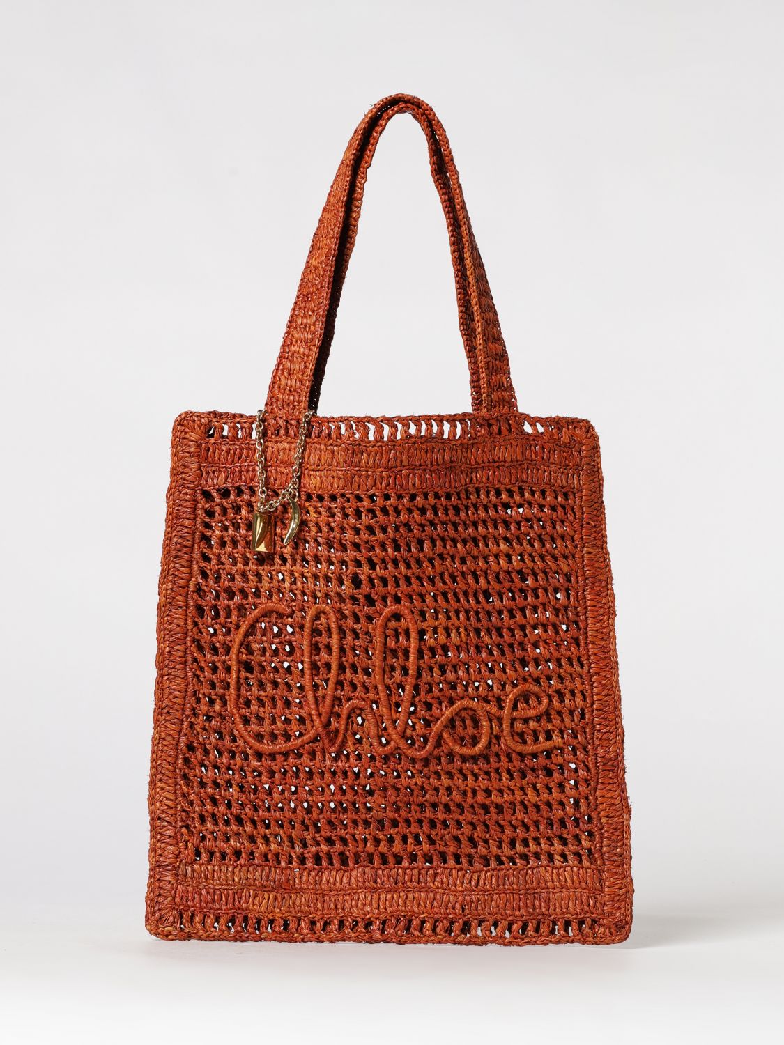 woman's shoulder bag chloé