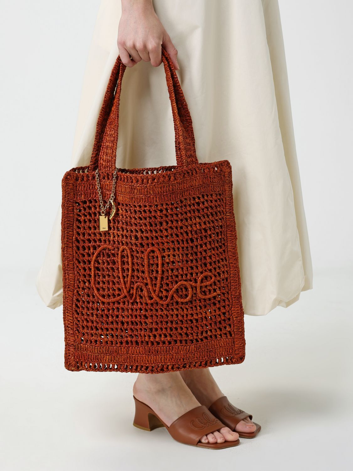 woman's shoulder bag chloé