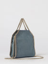 woman's mini bag
