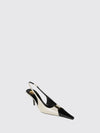 woman's pump