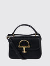 woman's mini bag