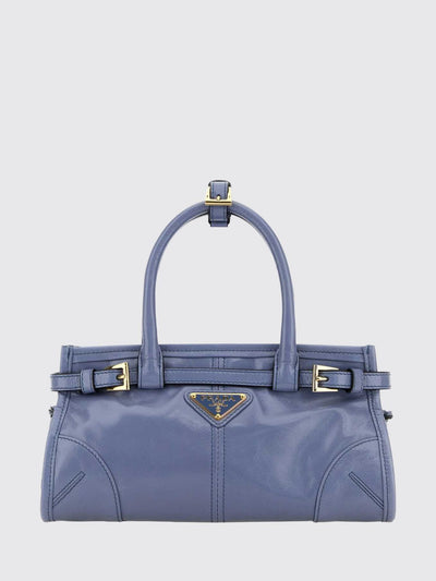 woman's handbag