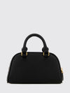 woman's mini bag