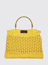 woman's handbag