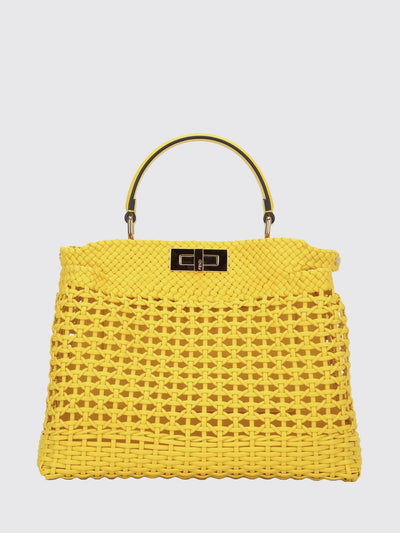 woman's handbag