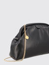 flared falabella clutch with removable chain strap