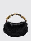 woman's handbag