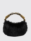 woman's handbag