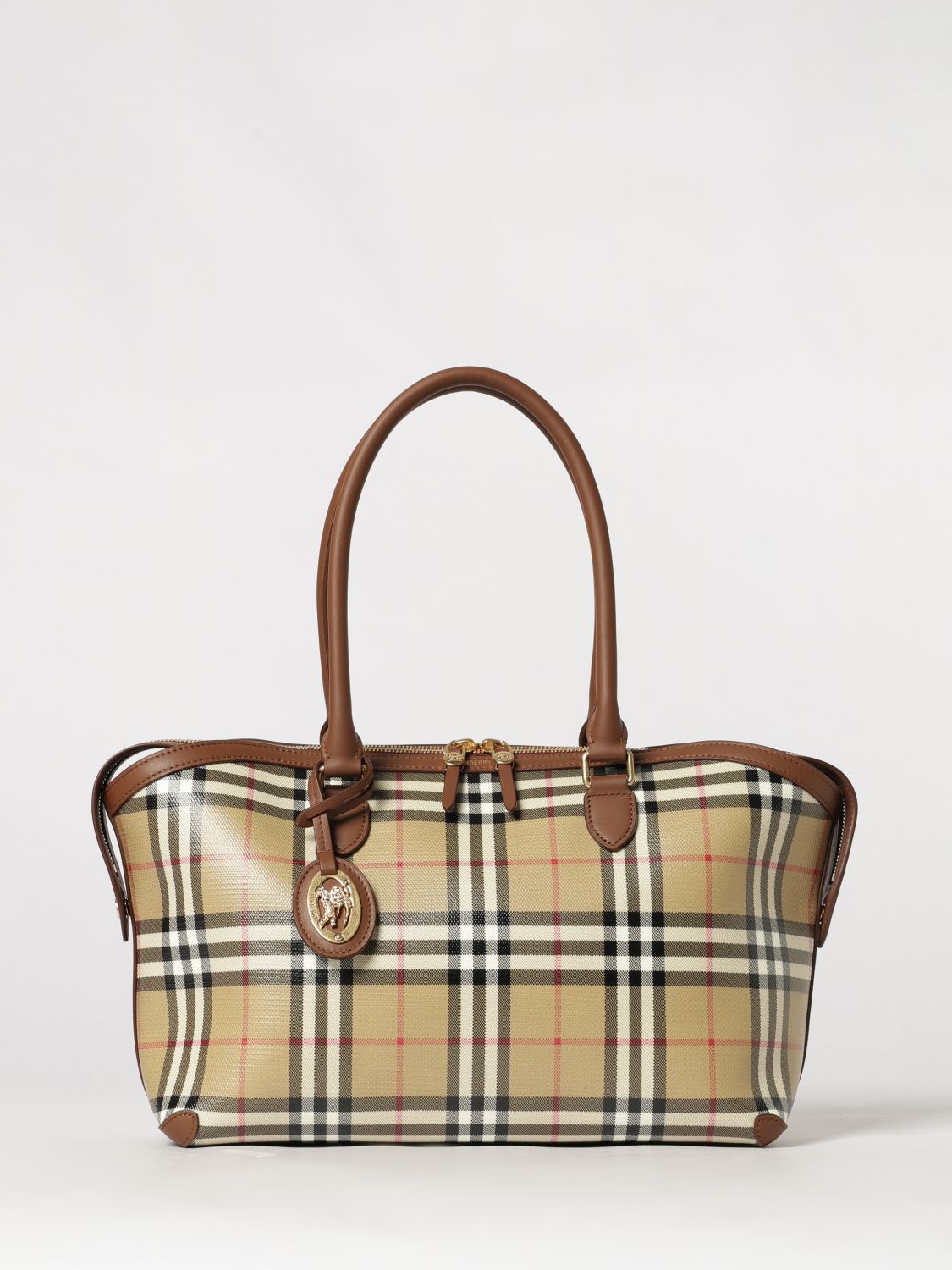 woman's handbag