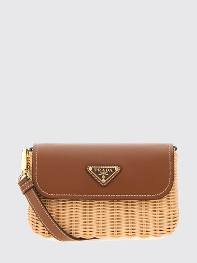 woman's crossbody bag