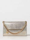 falabella mini wallet on chain bag in silver eco alter mat