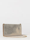falabella mini wallet on chain bag in silver eco alter mat