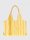 woman's handbag chloé
