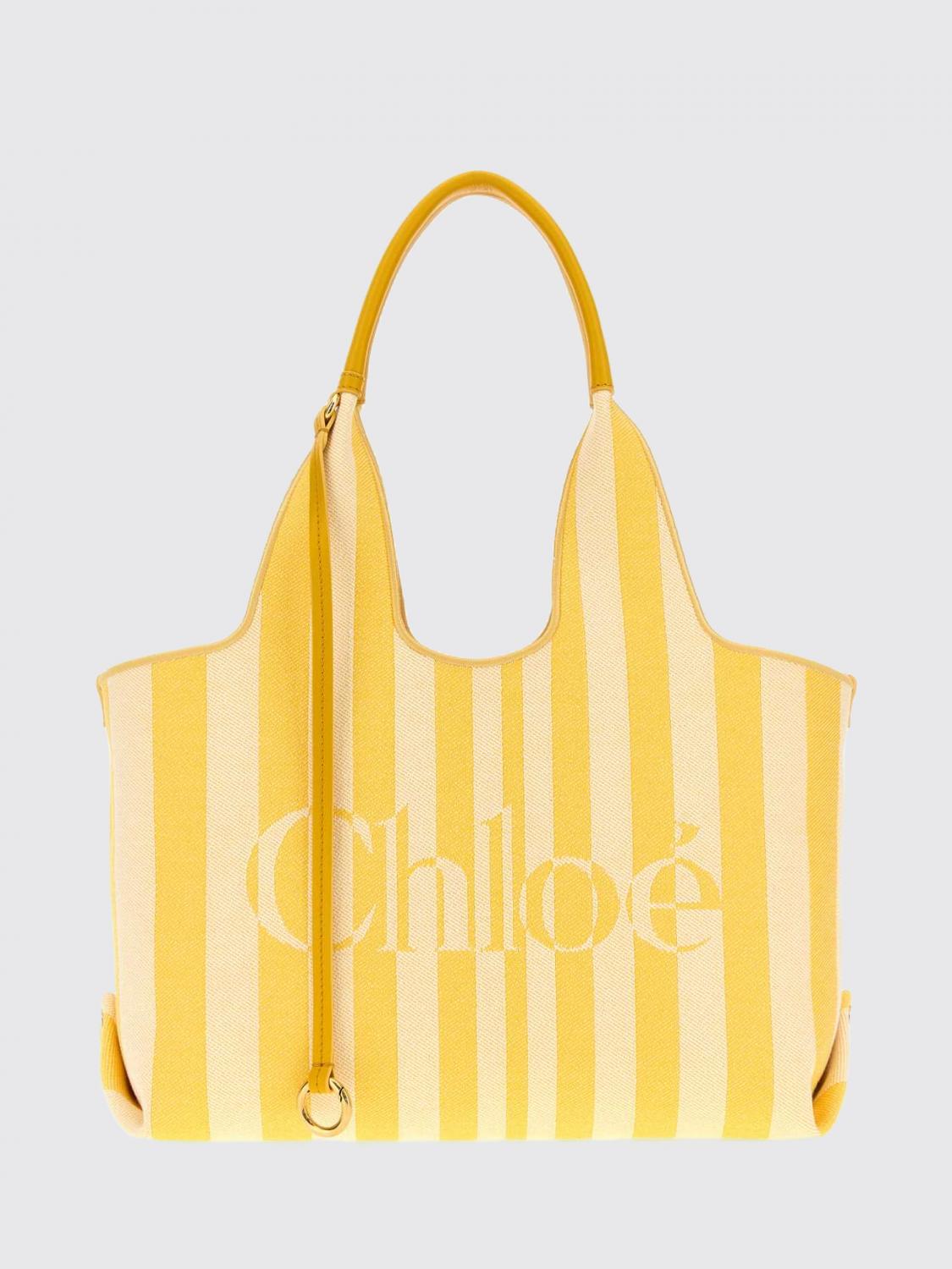 woman's handbag chloé