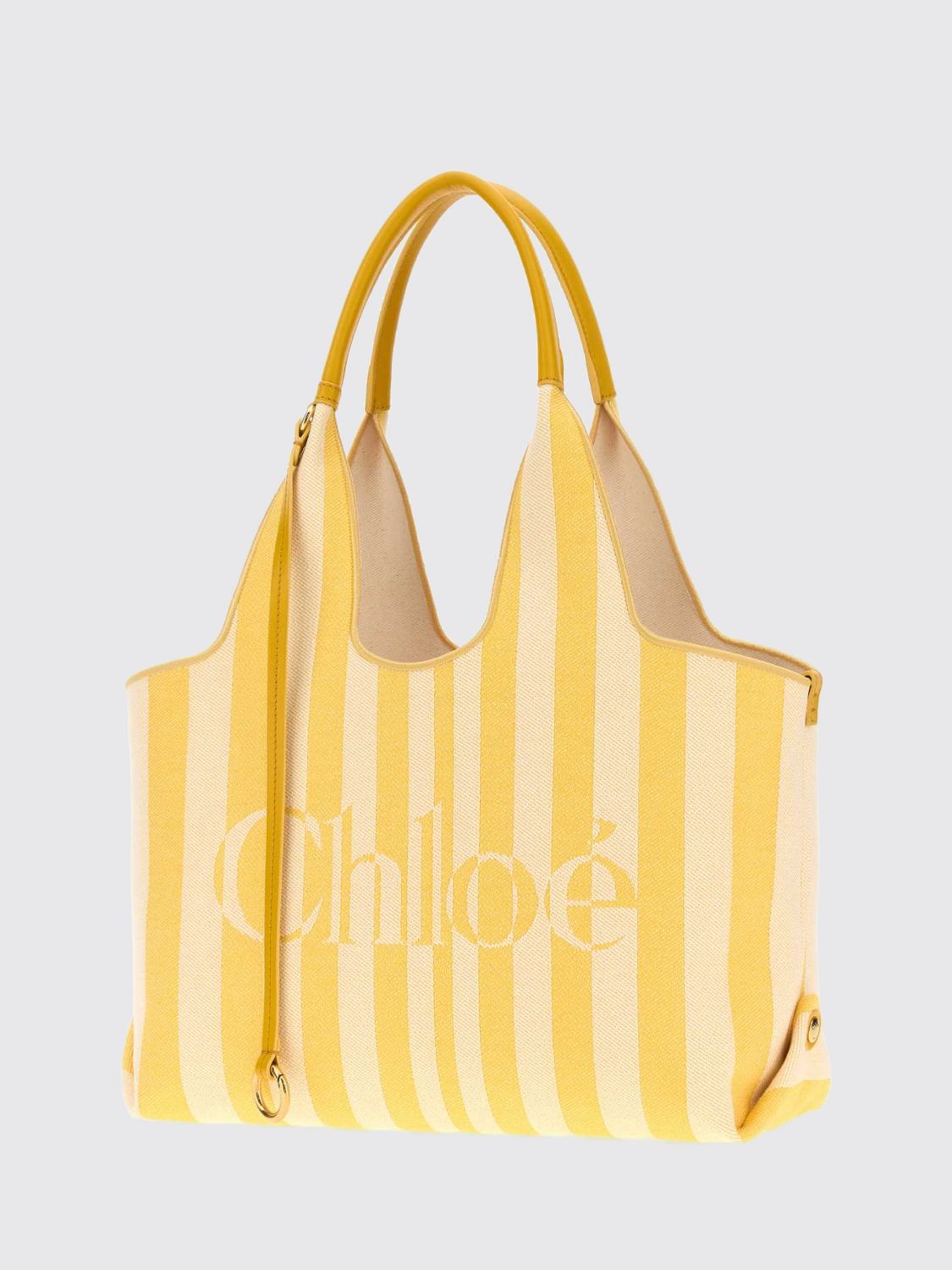 woman's handbag chloé