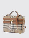 woman's handbag