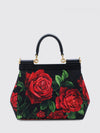 woman's handbag