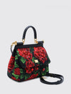 woman's handbag