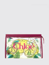 woman's handbag chloé