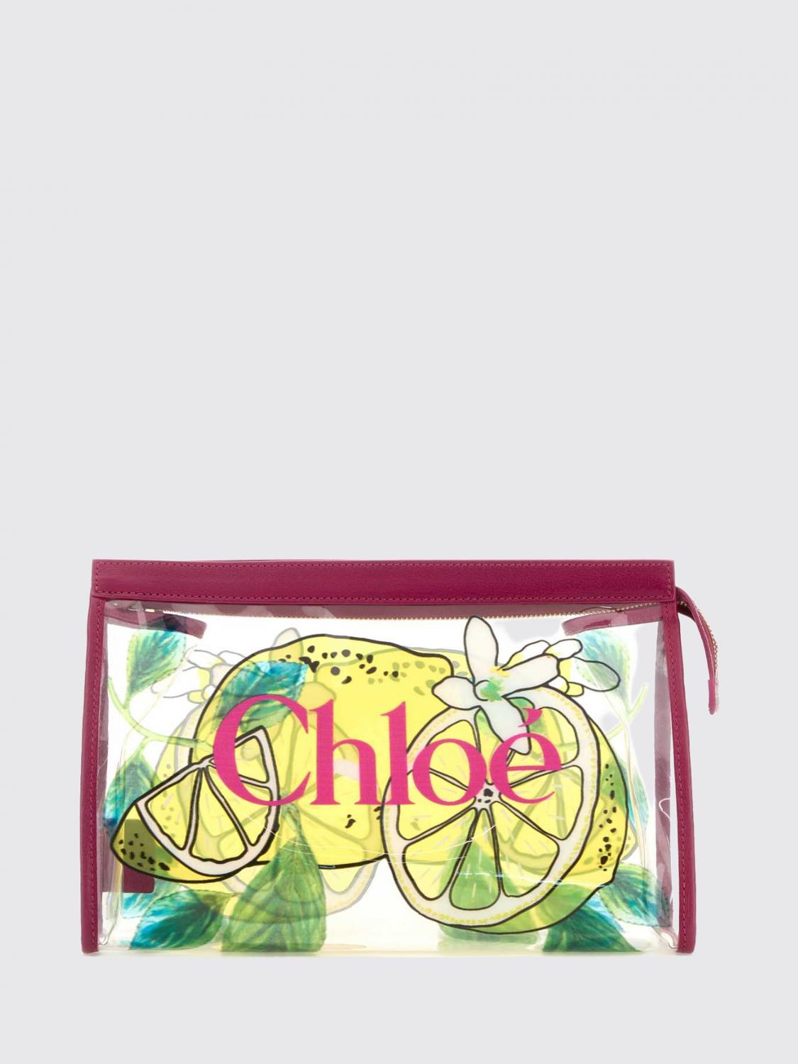 woman's handbag chloé